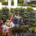 Plantasjen: Your Ultimate Guide to Scandinavia’s Leading Garden Center